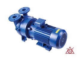 2BV水環(huán)真空泵